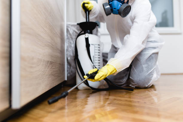 Best Pest Control Near Me  in Hampton Manor, NY