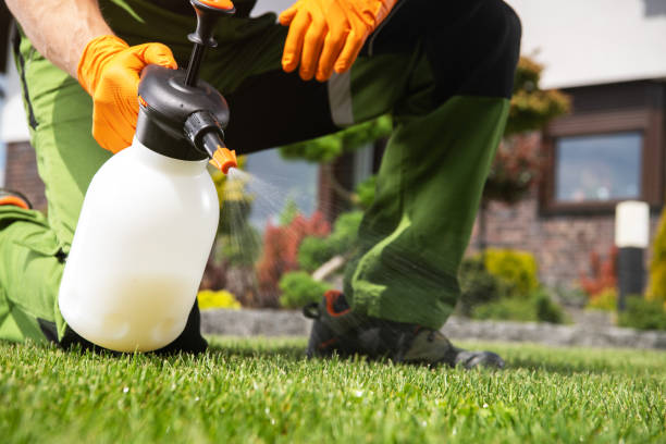 Best Spider Control Near Me  in Hampton Manor, NY