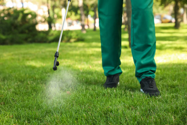 Best Termite Control Services  in Hampton Manor, NY