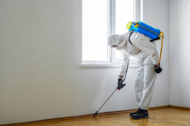 Best Pest Removal Services  in Hampton Manor, NY