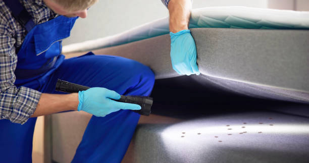 Best Pest Inspection Near Me  in Hampton Manor, NY