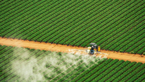 Best Commercial Pest Control Services  in Hampton Manor, NY
