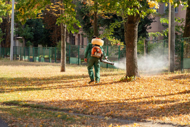 Best Pest Inspection Near Me  in Hampton Manor, NY